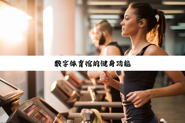 数字体育馆的健身功能